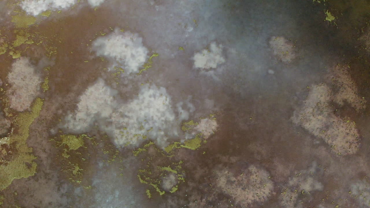 volando sobre un lago fangoso que tiene colores y patrones muy singulares