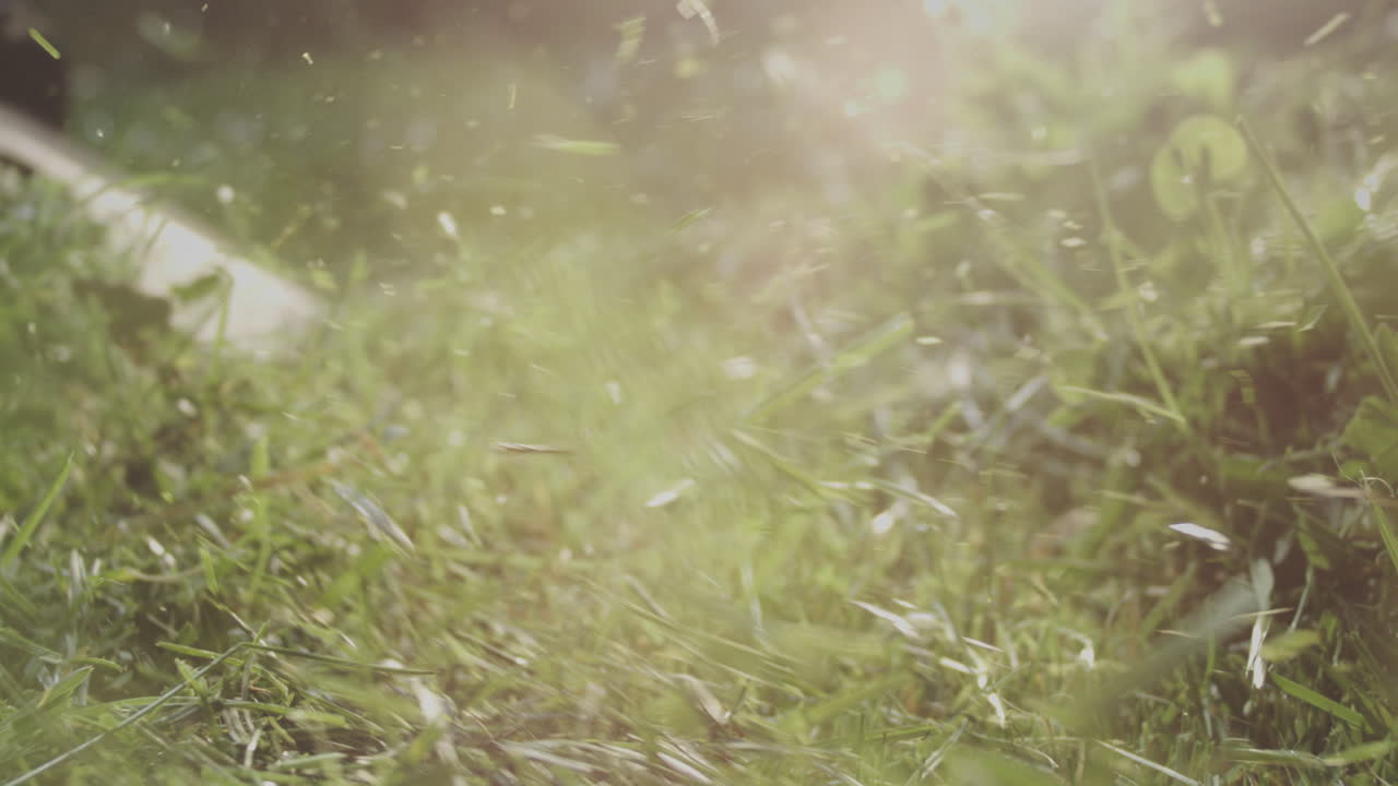 cortando el césped en un día soleado