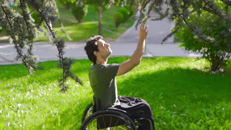 disabled young man sitting in his wheelchair in nature in slow motion.