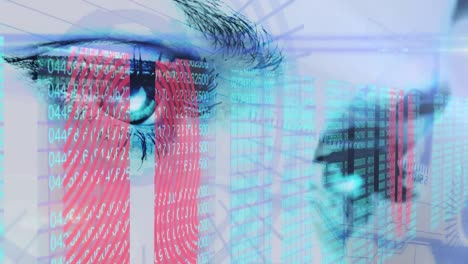 textos de conceptos de seguridad cibernética contra los ojos humanos