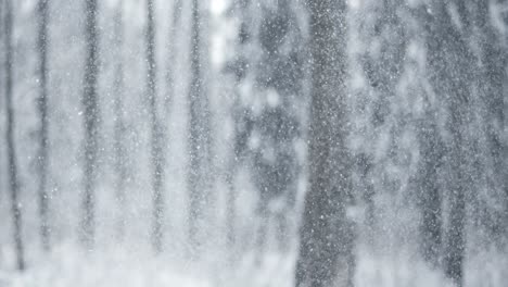 Winterlandschaft-Bei-Schneefall.-Abstrakter-Hintergrund-Für-Winterweihnachten-In-Superzeitlupe.