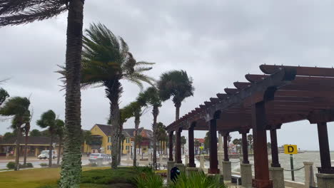 fuertes vientos huracanados que soplan palmeras en st