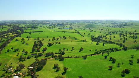 Panoramic-View-Of-Natural-Green-Landscape-In-Alice-Springs-Northern-Territory-In-Australia