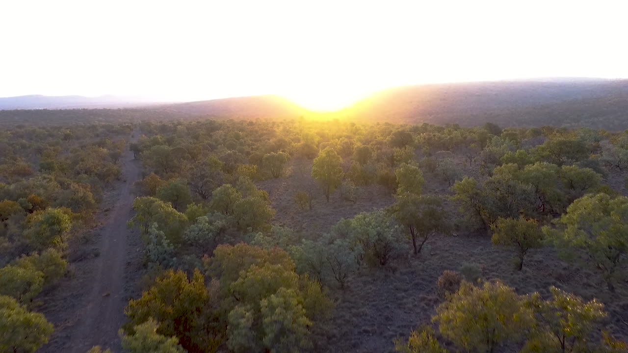 Vista aérea voando sobre as árvores em direção ao pôr do sol com belas montanhas ao fundo