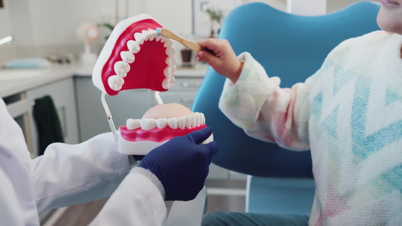 Dentist explaining oral hygiene to a child with a teeth model