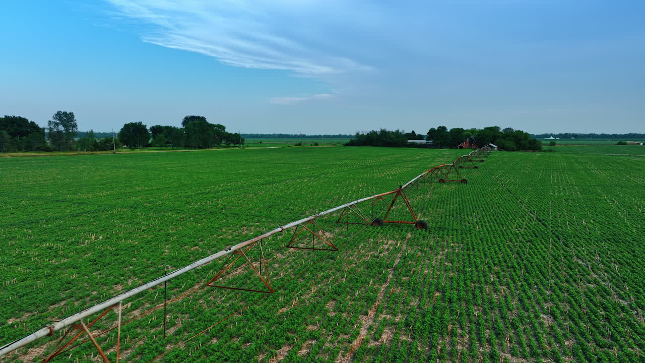 Flying along the irrigation system device on the agricultural field. Drone footage above the plantation with vegetation.