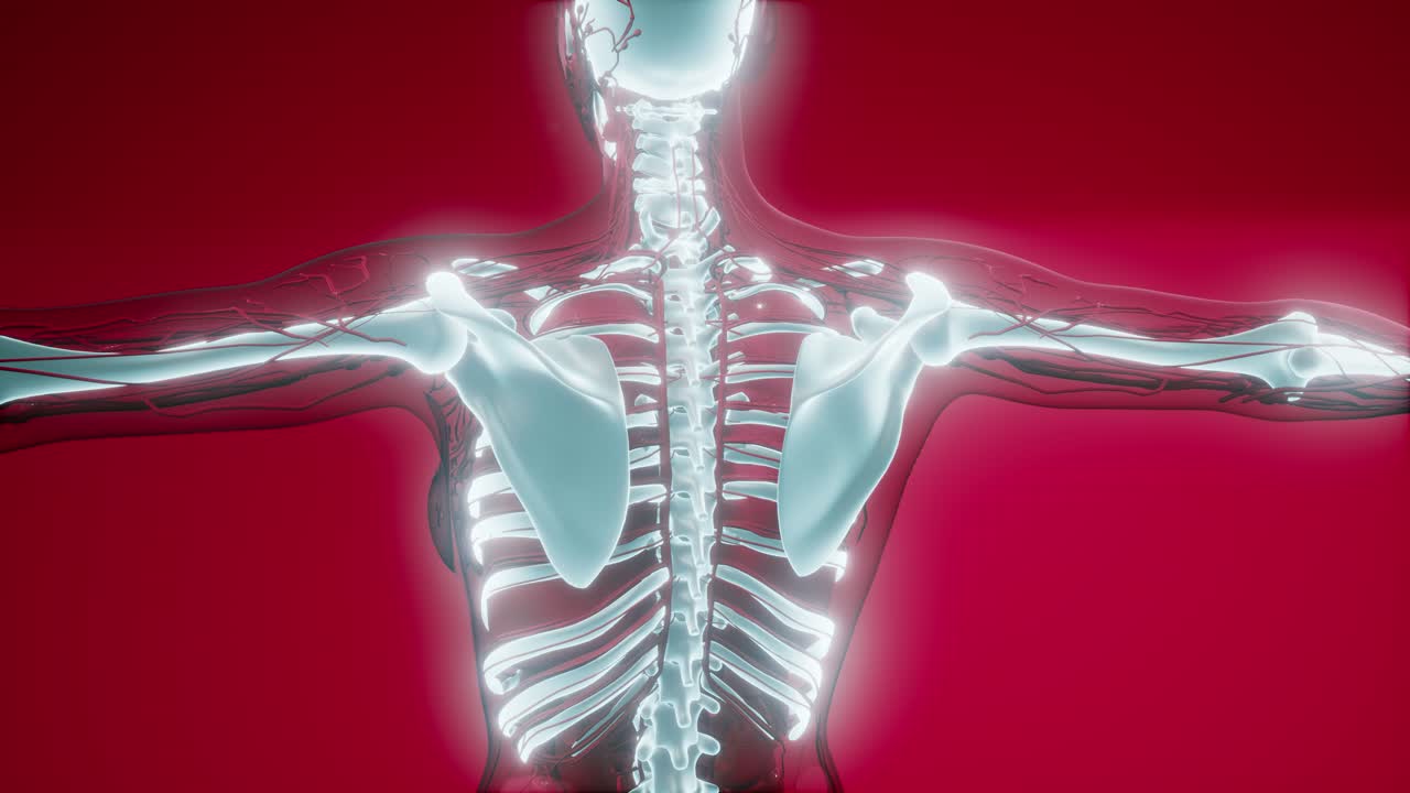 눈에 띄는  ⁇ 가 있는 투명한 인간 몸