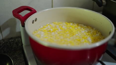 popular locro argentino based on corn boiling in red pot as part of rustic home cooking process.