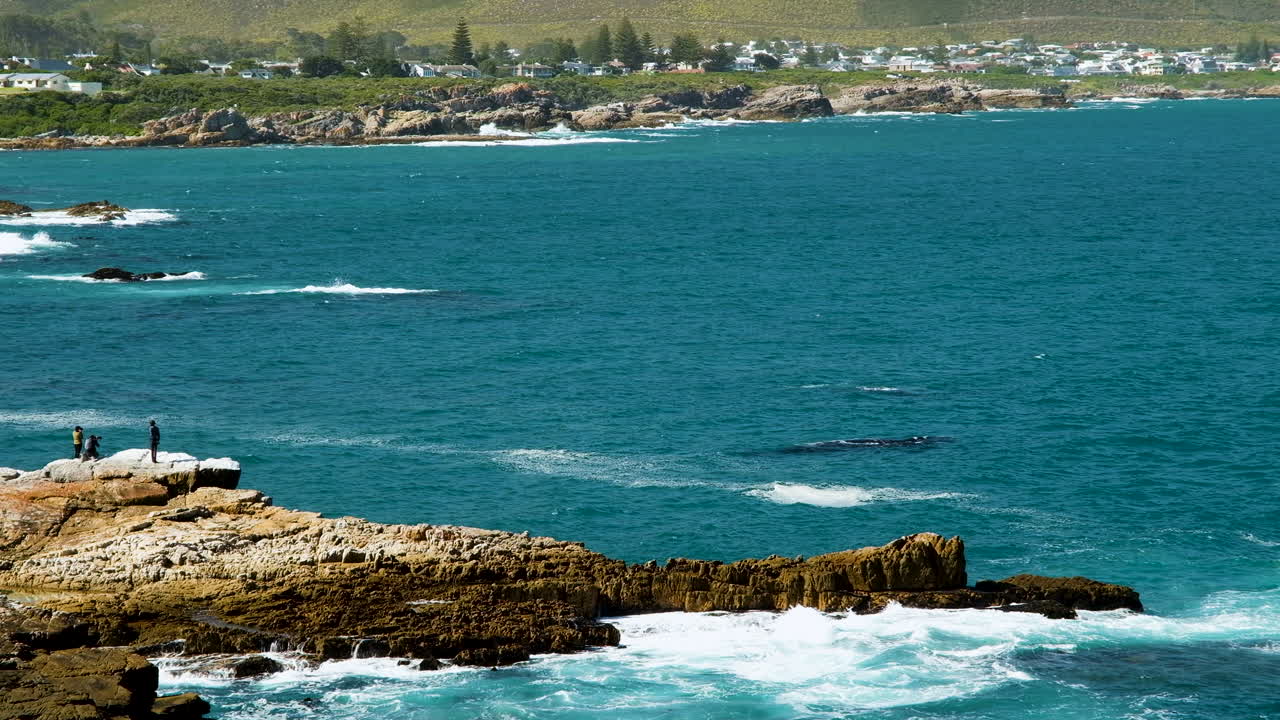 turistas avistamiento de ballenas en las rocas de la costa, ecoturismo en hermanus