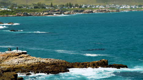 Turistas-Avistamiento-De-Ballenas-En-Las-Rocas-De-La-Costa,-Ecoturismo-En-Hermanus