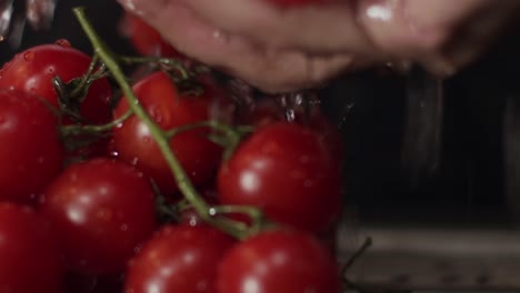 primer plano de tomates enjuagados que son una fuente importante de vitaminas en la pobreza alimentaria mundial