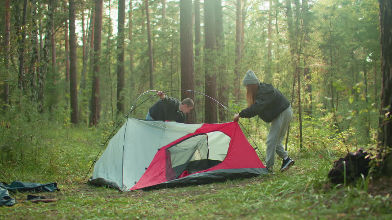 woman assists partner as they pitch camping tent with visible mesh panel in forest, working together under soft natural light surrounded by trees and grassy ground