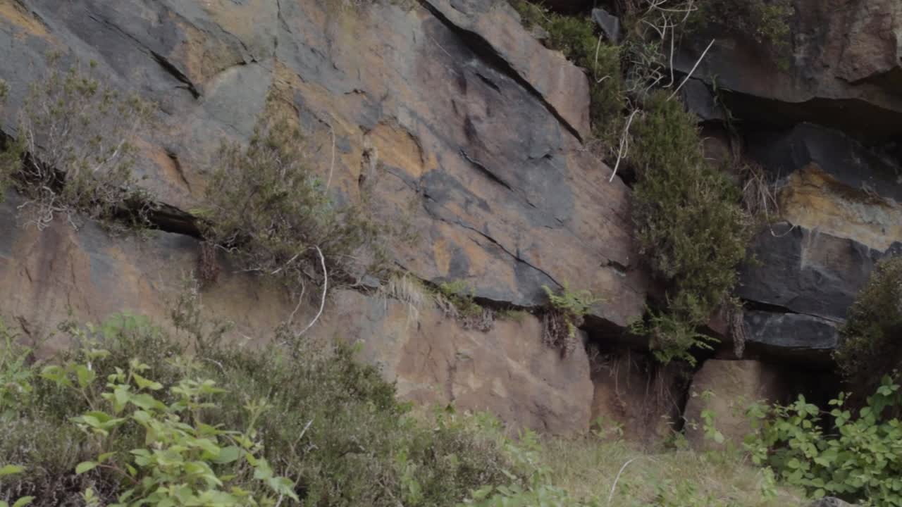 Rocky terrain medium panning shot