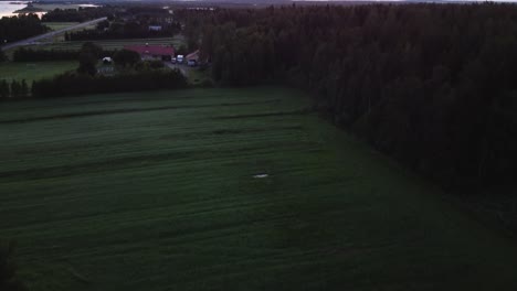 Scattered-farmhouses-on-green-flood-plains-of-Tornio-riverside,-Lapland-region