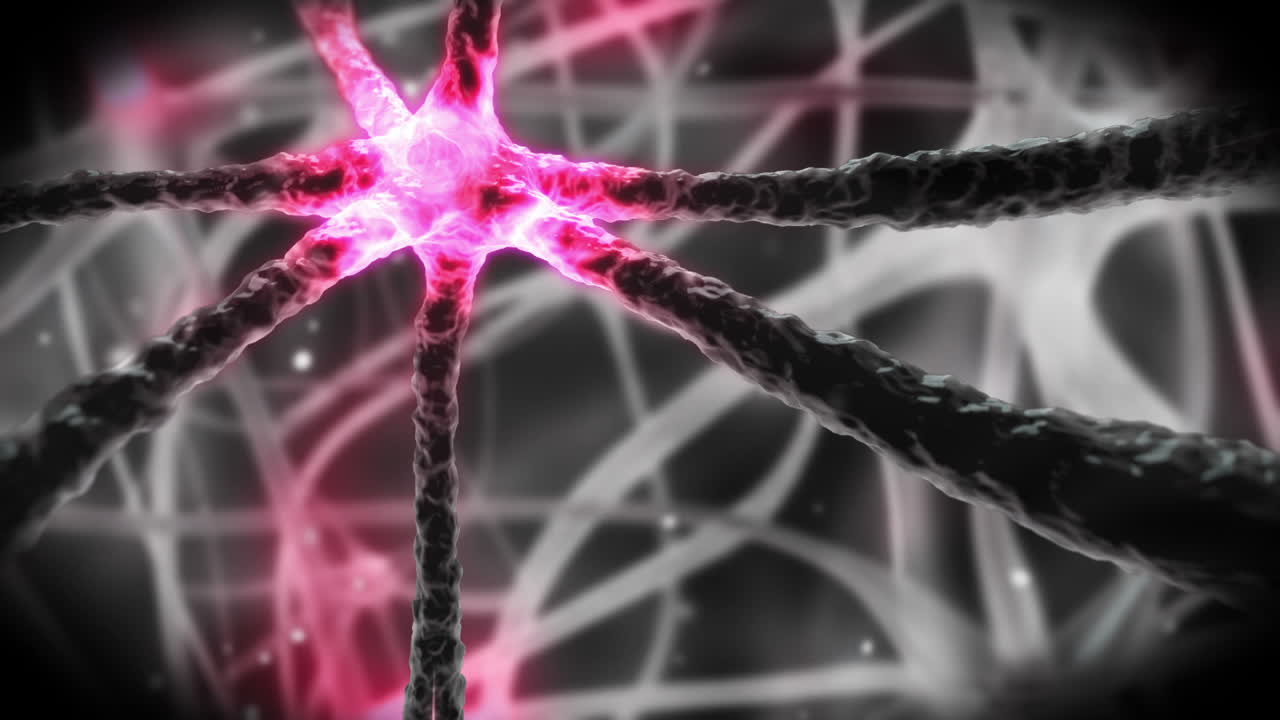 neurona que viaja a través del sistema nervioso