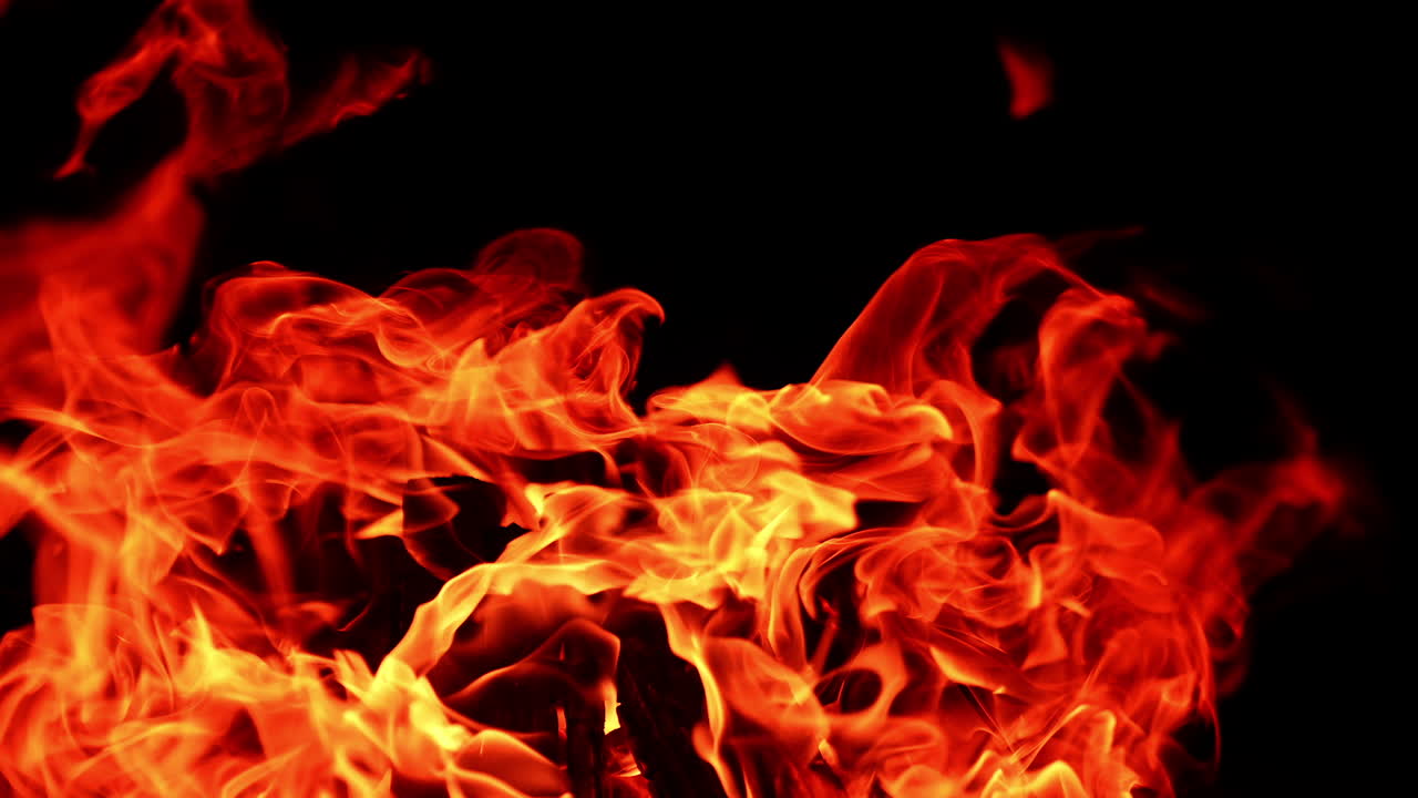 Dangerous fire flames are rising into the air. Tongues of fire blast covering the dark logs of wood. Close up. Black backdrop.