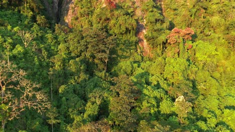 forward flying aerial shot of jungle mountain during golden hour sunrise in jerico colombia