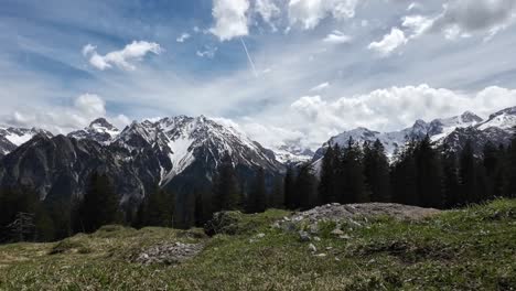 Bird-is-Walking-and-Jumping-around-on-Field-with-Snow-Covered-Mountain-Range-in-Background