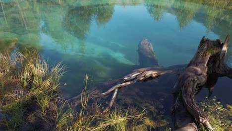 geyser lake with thermal springs