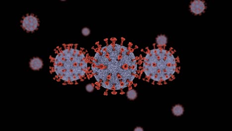 células de coronavirus animadas en 3d flotando con 3 células cercanas en la parte delantera con canal alfa y bucle