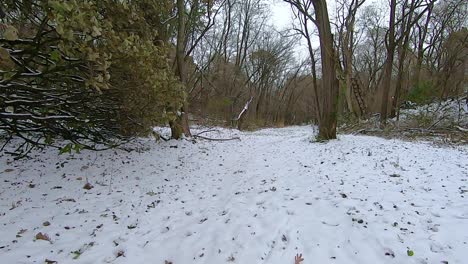 pov from the front of all terrain vehicle  atv while driving through the woods on a snow covered path on a cloudy winter day