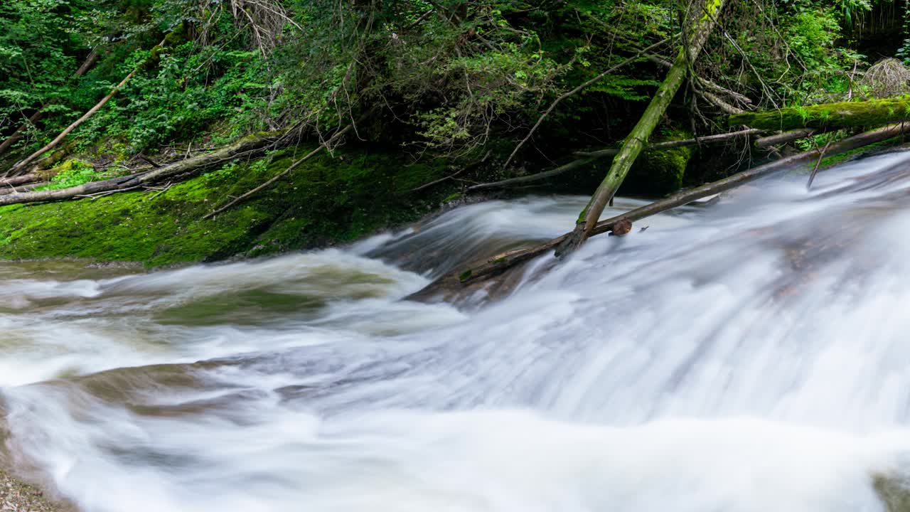 Questo time-lapse in movimento cattura un ruscello impetuoso nell'Eistobel, Baviera, Germania. L'acqua scende a cascata su rocce muschiose, serpeggiando attraverso una fitta e verde foresta, creando una scena forestale tranquilla ma dinamica.