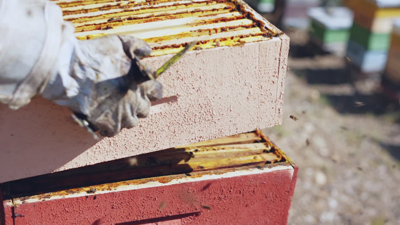 Beekeeping: Working with Honey Bees and Hives