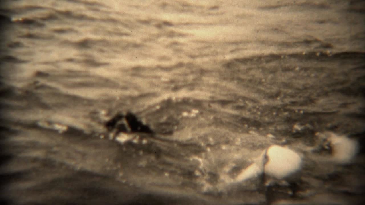 1936 - 수영 모자를 입은 여자와 개가 함께 열린 호수 물에서 수영합니다.