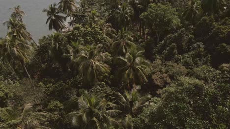 Aerial-birds-eye-medium-view,-rotating-pan-shot-of-idyllic-tropical-island-with-calm-ocean,-palm-trees-and-lush-green-rain-forest