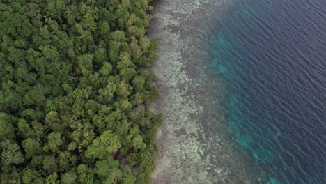 Ein-Atemberaubender-Strand-Mit-Weißem-Sand,-Korallenriff-Und-Türkisfarbenem-Wasser-Im-Letzten-Paradies-Raja-Ampat,-Indonesien