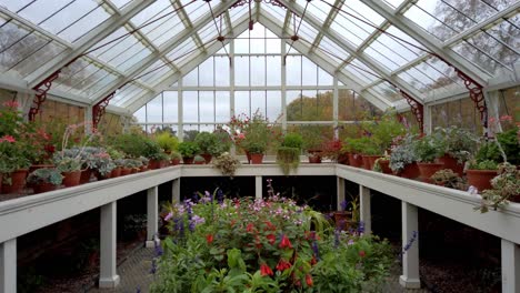 pov shot entering victorian green house filled with english flowers