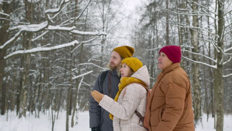 side view of three friends in winter clothes talking about something they have seen in a winter forest