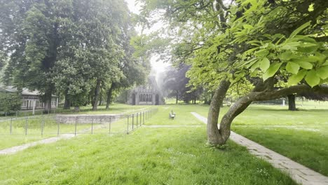 ruinas del monasterio de heisterbach en un prado detrás de un árbol, colonia