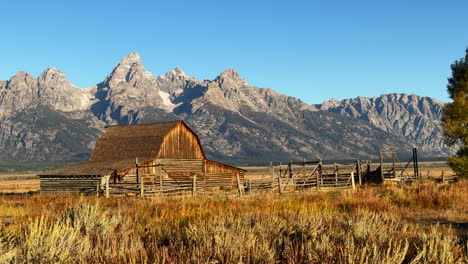 grand teton national park mormon row moulton barns wind in tall grass fall aspen golden yellow trees jackson hole wyoming mid day beautiful blue sky sunrise cinematic pan left motion