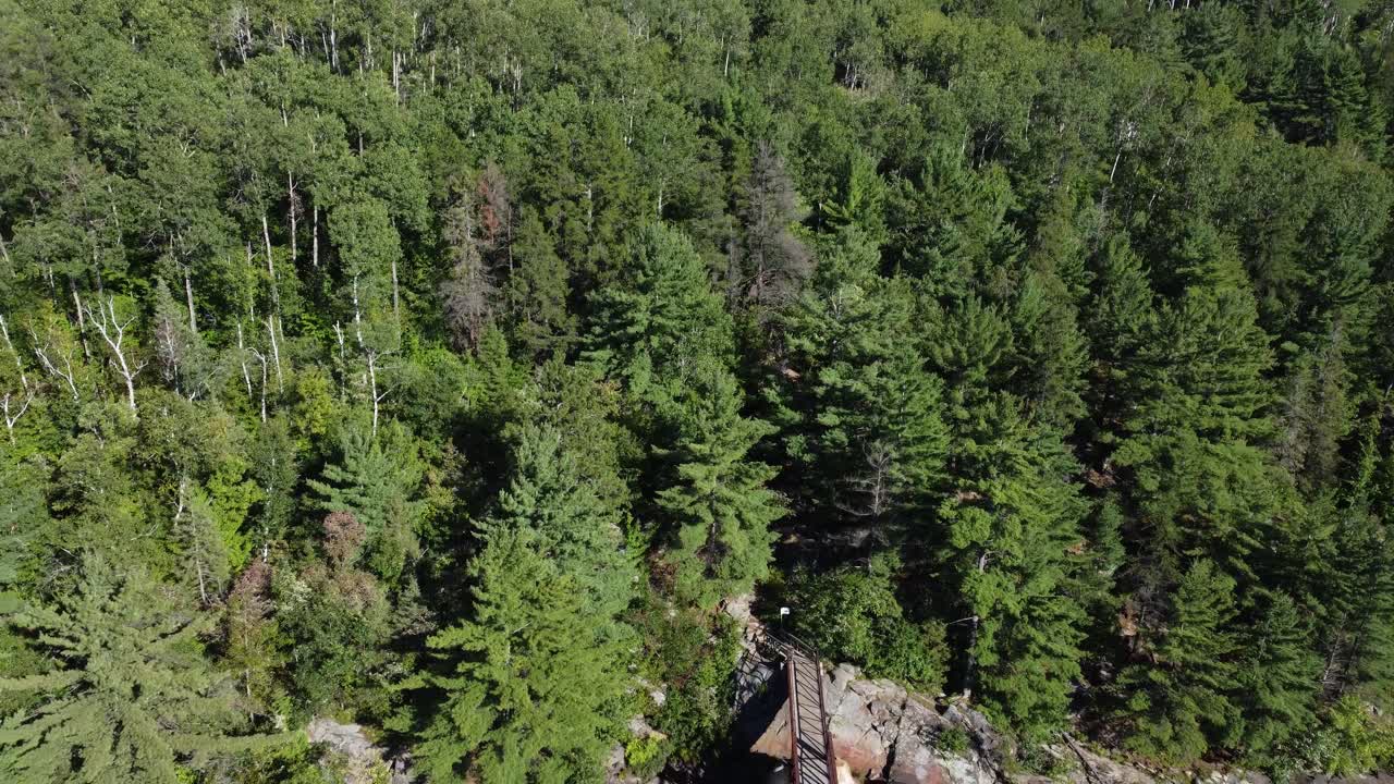 el aire revela el bosque canadiense, el puente colgante, las cascadas.