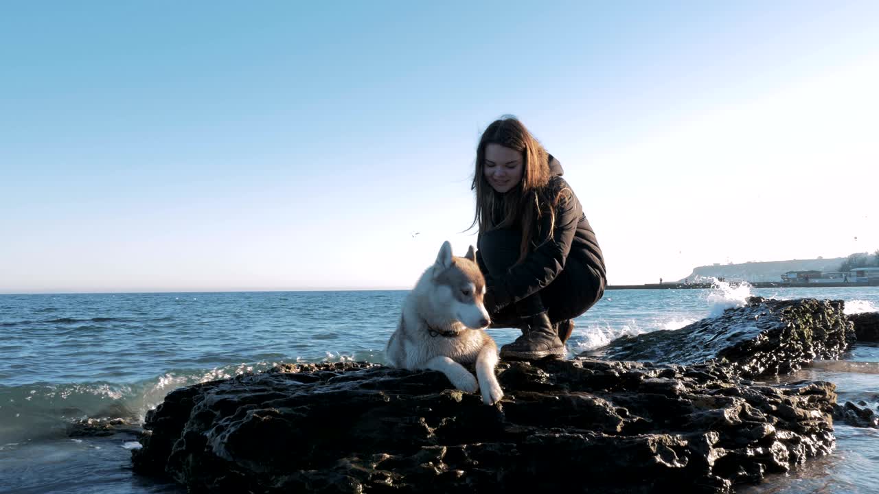 바다 근처의 시베리아 허스키와 함께 바위 위에 앉아있는 어린 소녀