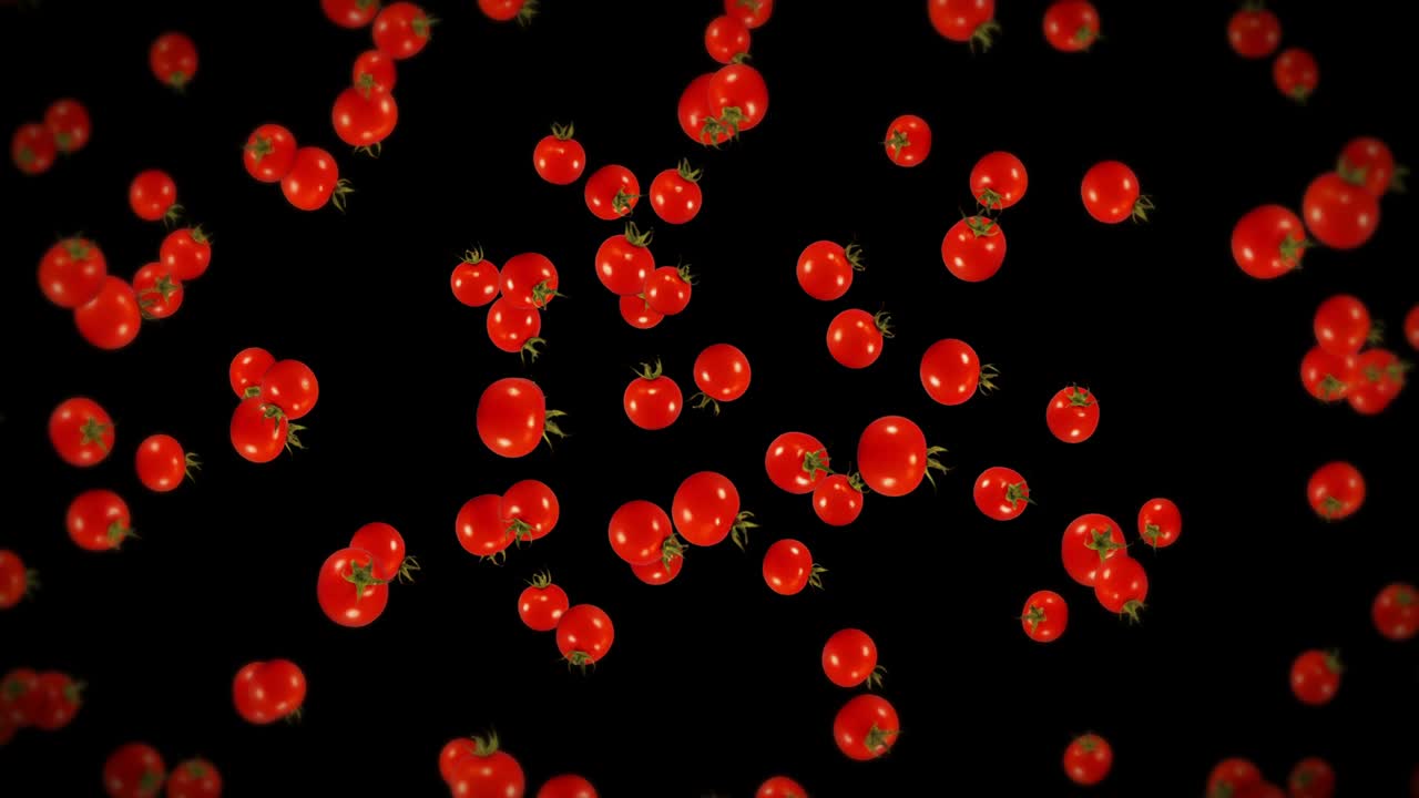 검은색 바탕에 많은 신선한 토마토를 날아. 유기 채소. 익은 맛있는 체리 토마토. 토마토 회전의 3d 루프 애니메이션.