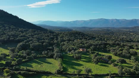 Vuelo-En-Un-Valle-Haciendo-Un-Giro-Visualizando-Un-Bosque-De-Robles-Y-Enebros-Con-Prados-Verdes-Y-Casas-Y-Fincas-Ganaderas-Con-Montañas-Al-Fondo-En-Una-Tarde-De-Otoño-En-Avila-españa