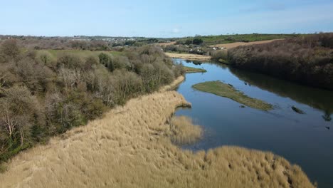 imágenes aéreas que vuelan hacia atrás y hacia arriba sobre el río bandon en irlanda en primavera con riberas de ríos salvajes y bosques, campos