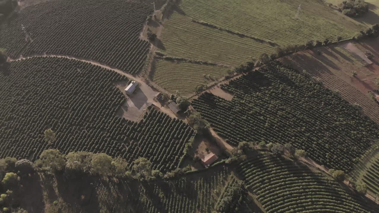 vuelo de drones sobre plantaciones de café en brasil