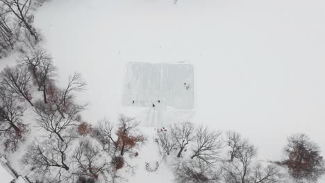 Aerial-top-down,-friends-and-family-skating-on-a-homemade-backyard-ice-rink