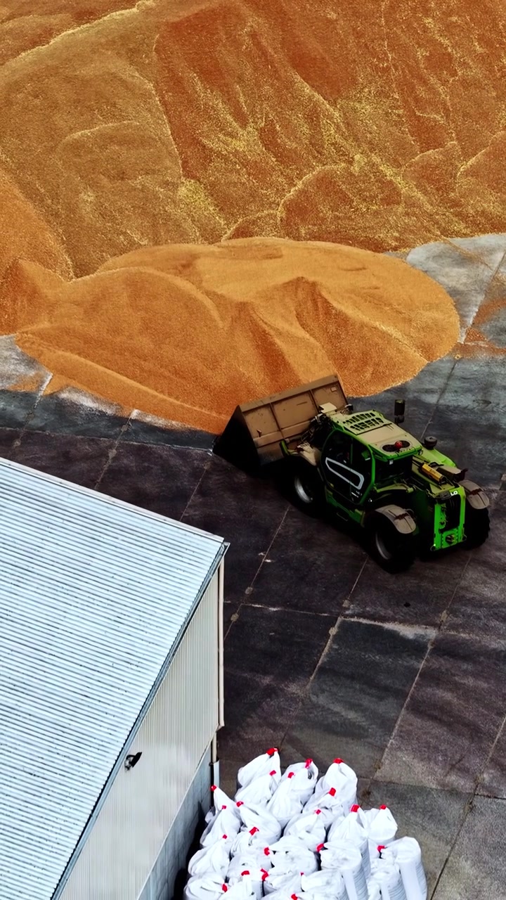 A green loader maneuvers to move large piles of grain at an industrial storage site. Ideal for agricultural and logistics content.