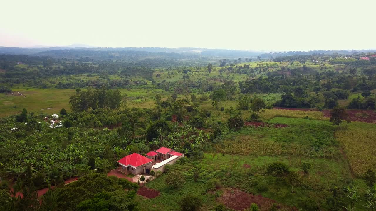 Volo di drone sopra una Fattoria a Mukono, Uganda
