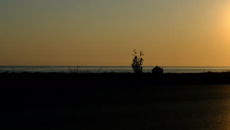 Silhouette-traffic-in-asphalt