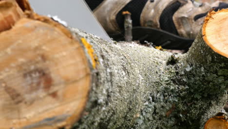 cutting wooden log with handsaw