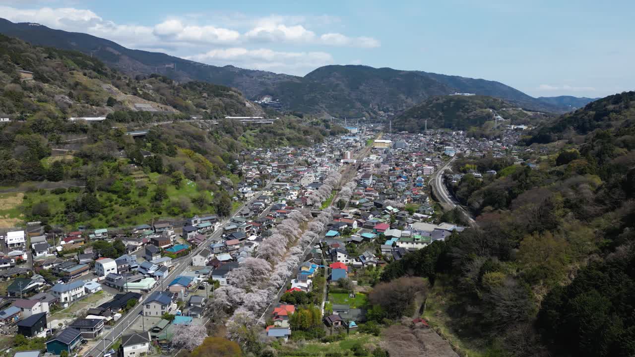 High above drone flight over rural village in Japan with Sakura cherry blossoms