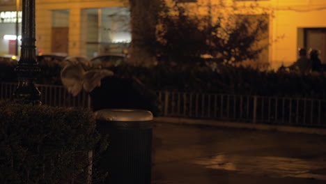 Woman-trying-to-throw-the-bottle-into-street-trash-can