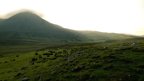 scottish highlands landscape with sheep