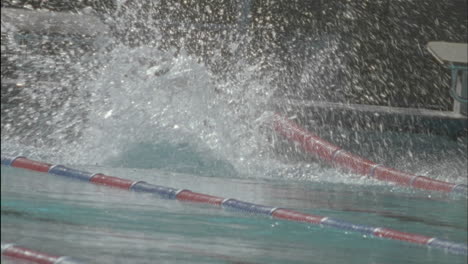 a swimmer dives into the pool and starts swimming