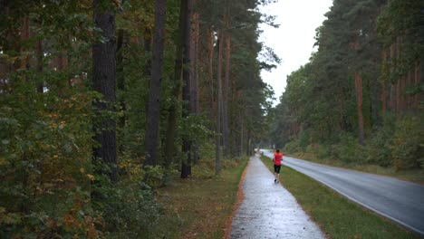 4k-Zeitlupenaufnahmen-Von-Frauen,-Die-Nach-Regen-Auf-Nassem-Boden-Mit-Großen-Grünen-Bäumen-In-Einem-Wald-Joggen